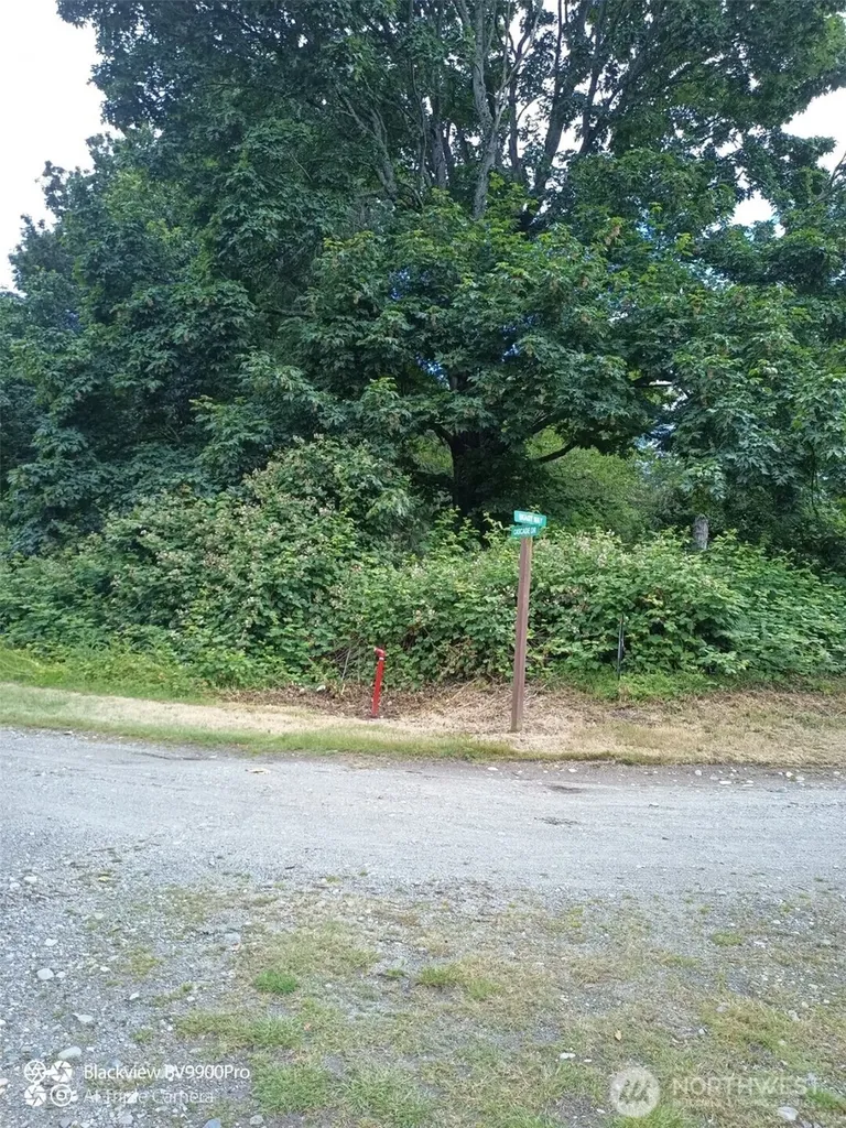 74 Skagit Way Hat Island WA 98206