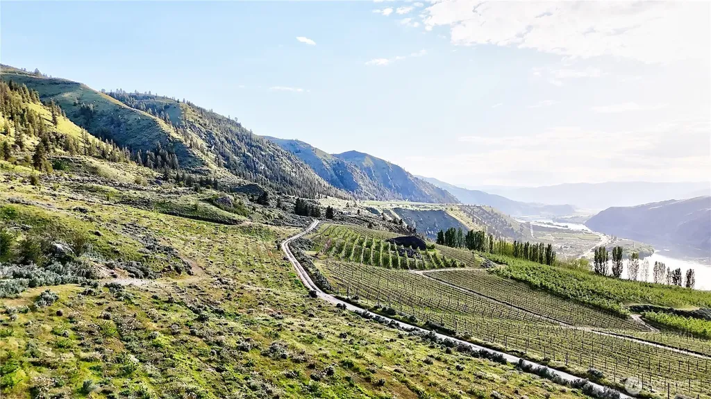 0 Farnham Canyon Road Orondo WA 98843