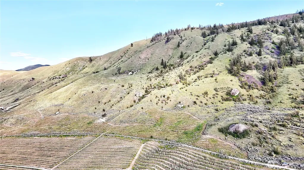0 Farnham Canyon Road Orondo WA 98843