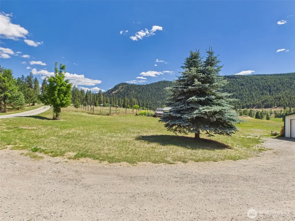 19 Louie Creek Road Curlew WA 99118