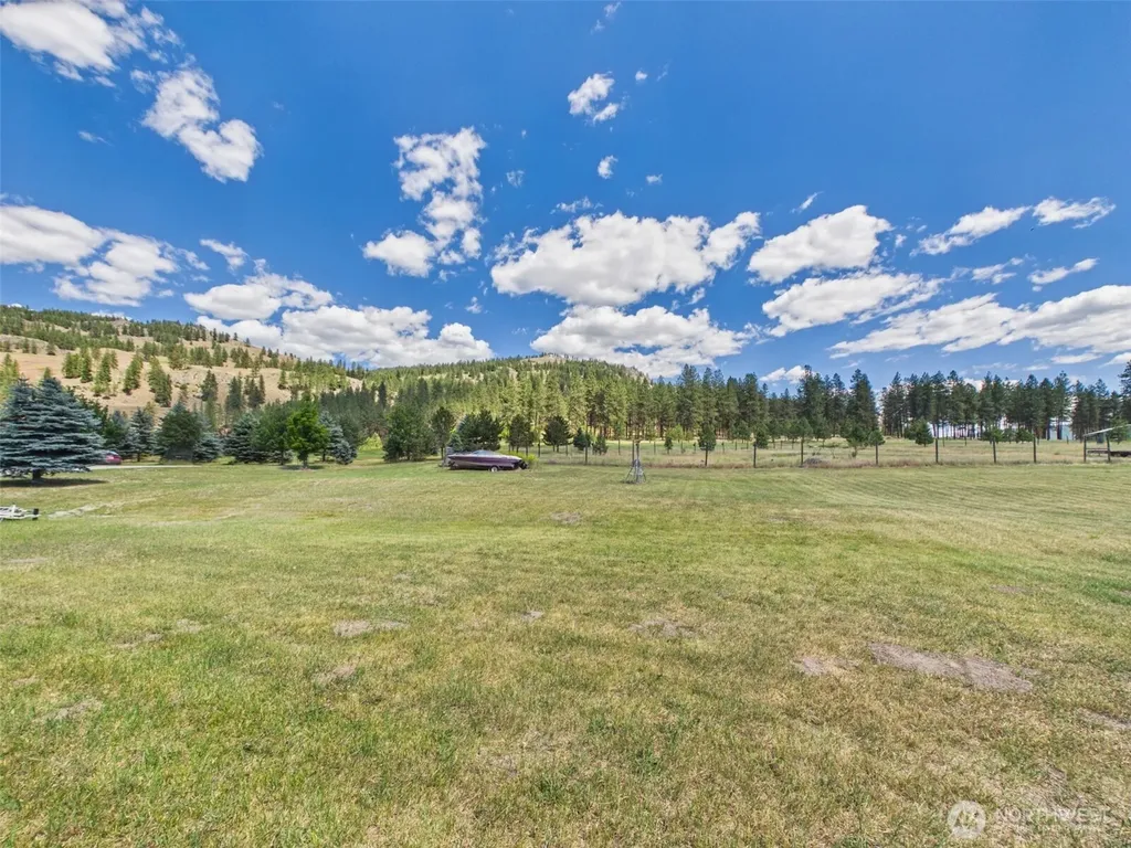 19 Louie Creek Road Curlew WA 99118