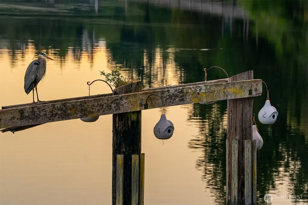 1 Pintail Road Port Ludlow WA 98365