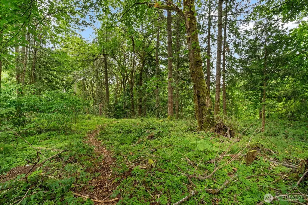 22510 196th Street E Orting WA 98360