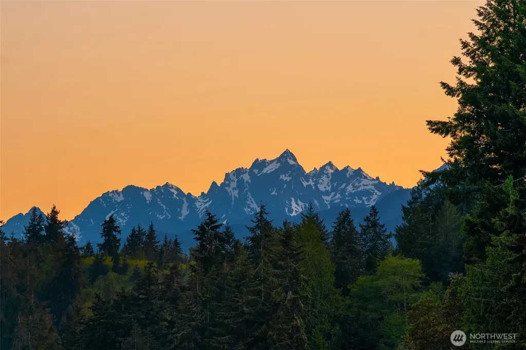 4 Pintail Road Port Ludlow WA 98365