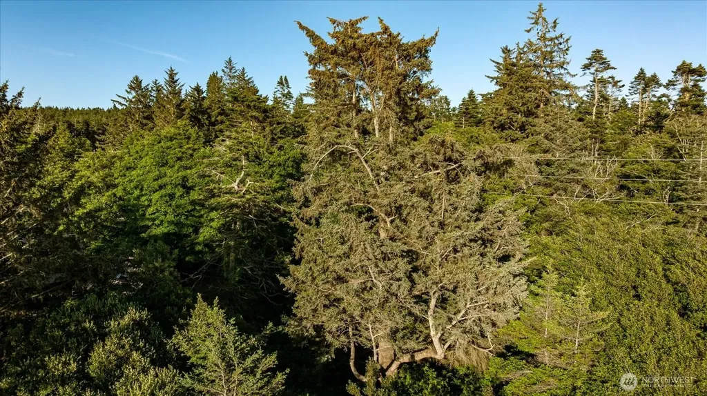 0 West Beach Road Oak Harbor WA 98277