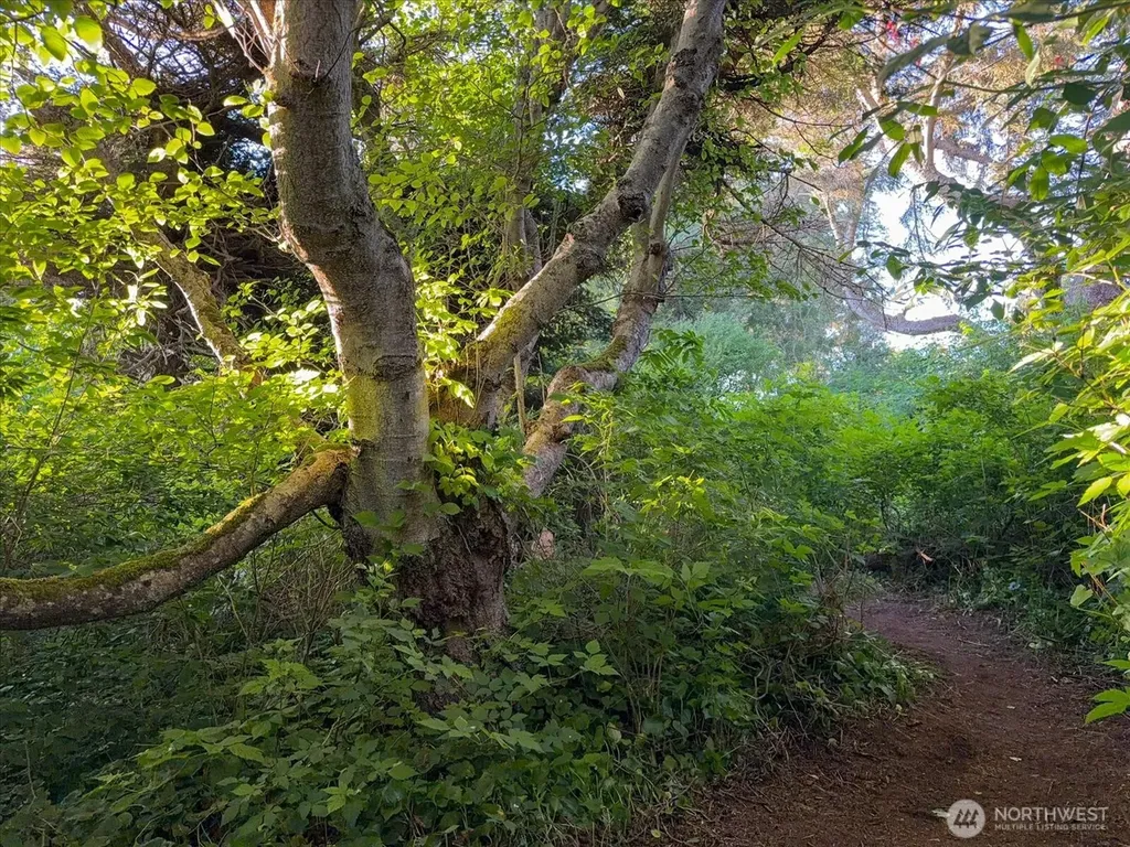 0 West Beach Road Oak Harbor WA 98277