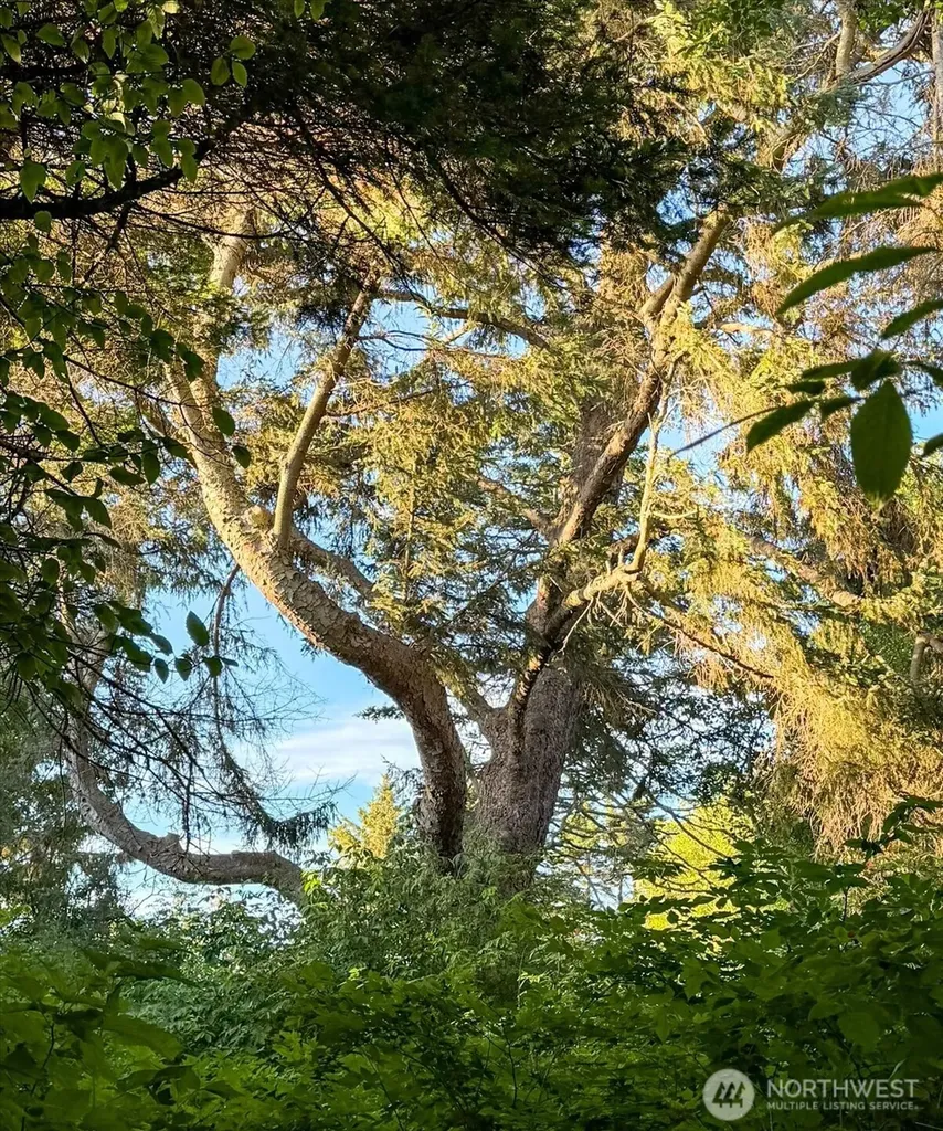 0 West Beach Road Oak Harbor WA 98277