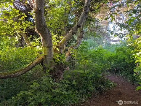 0 West Beach Road Oak Harbor WA 98277
