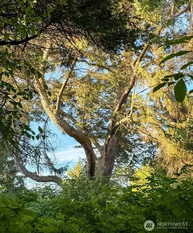 0 West Beach Road Oak Harbor WA 98277