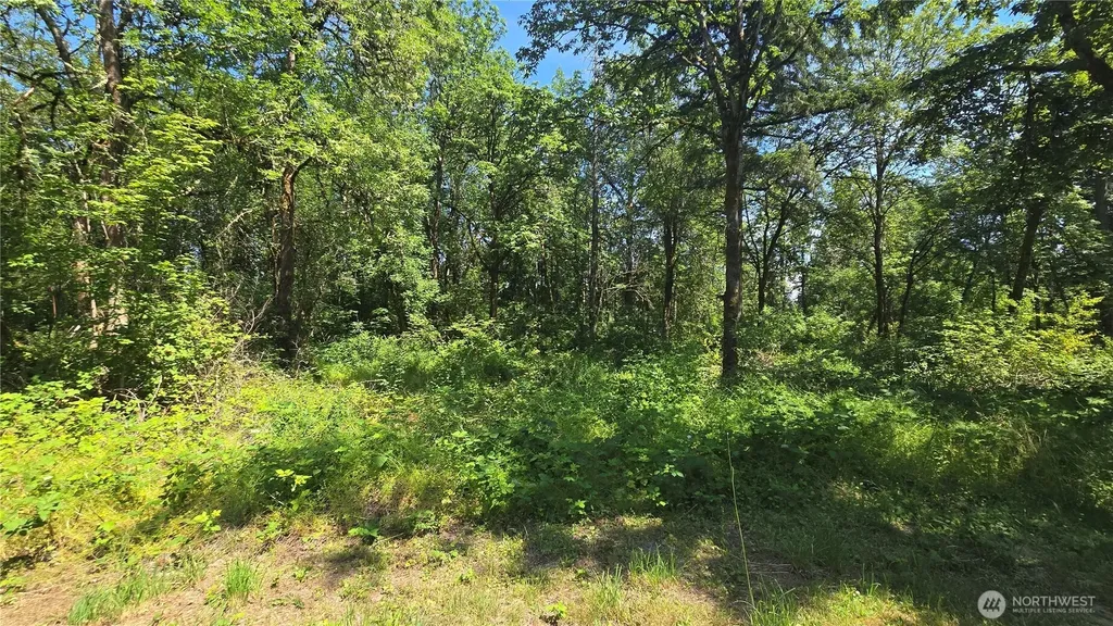 364 48th Avenue S Auburn WA 98001