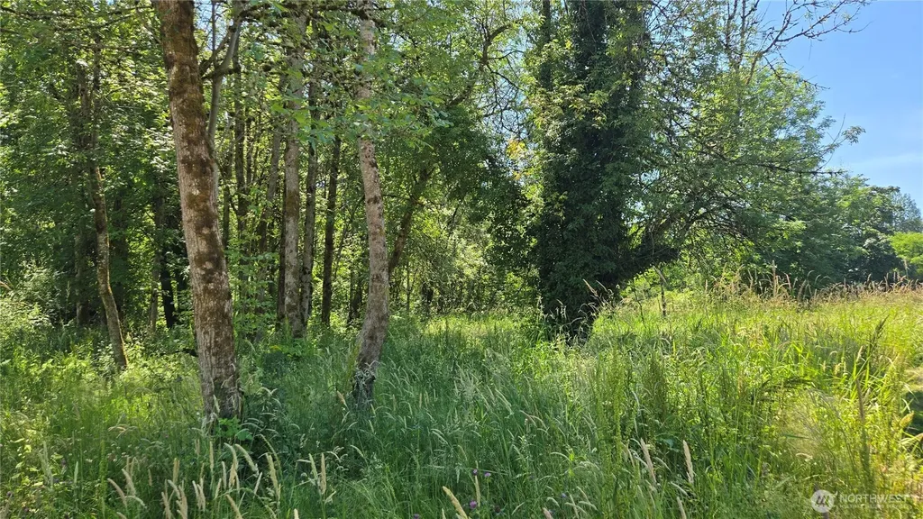 364 48th Avenue S Auburn WA 98001