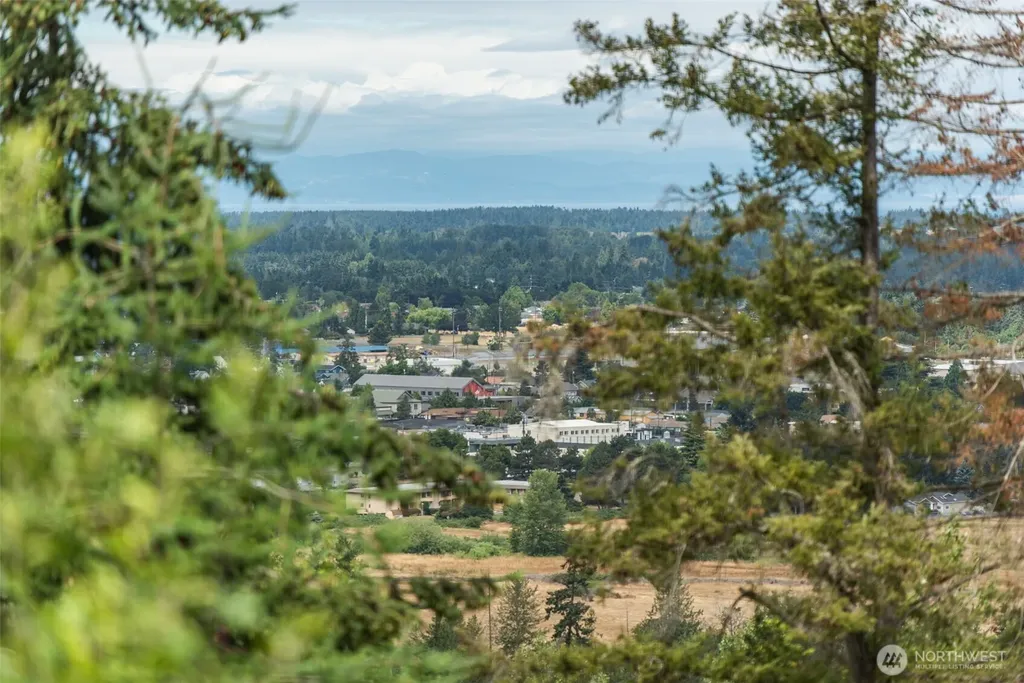 20 Doe Run Road Sequim WA 98382