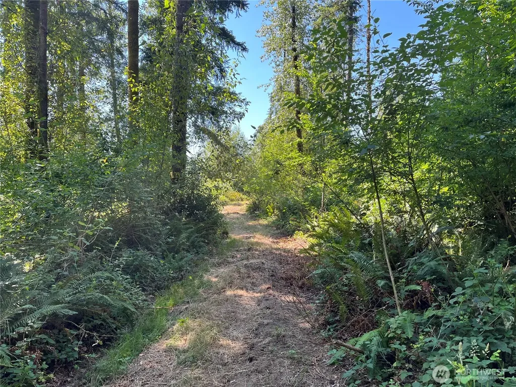 868 Highway 603 Chehalis WA 98532