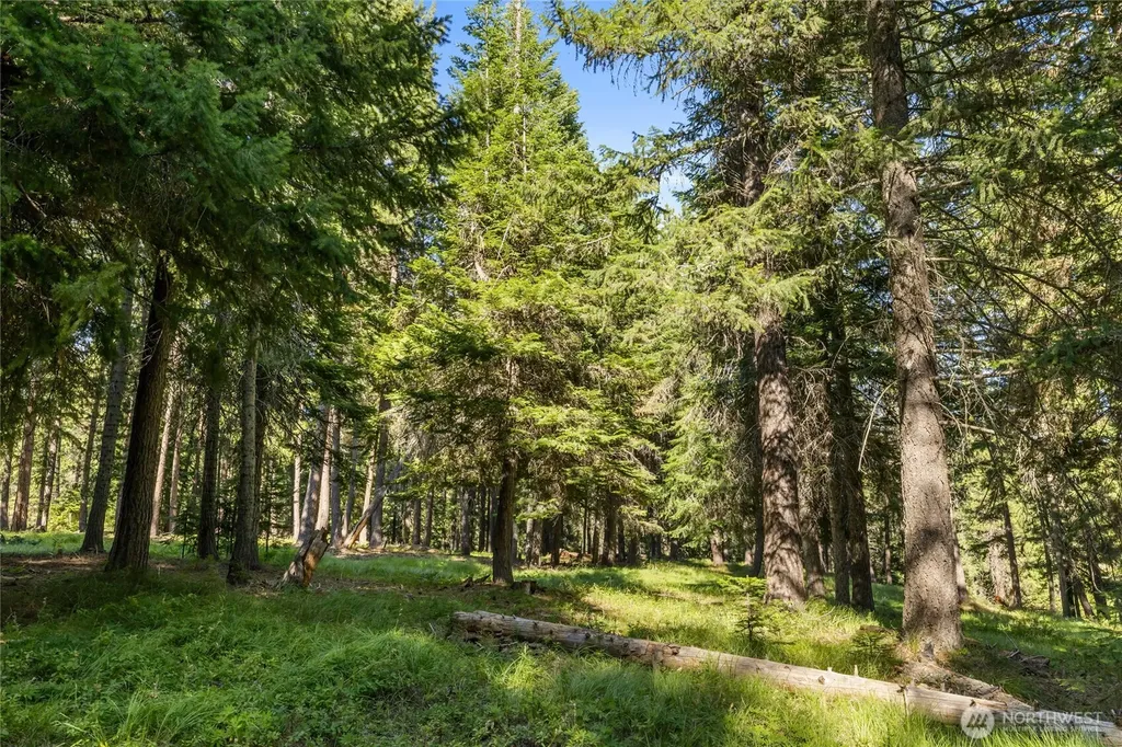 432 Hub Lane Cle Elum WA 98922