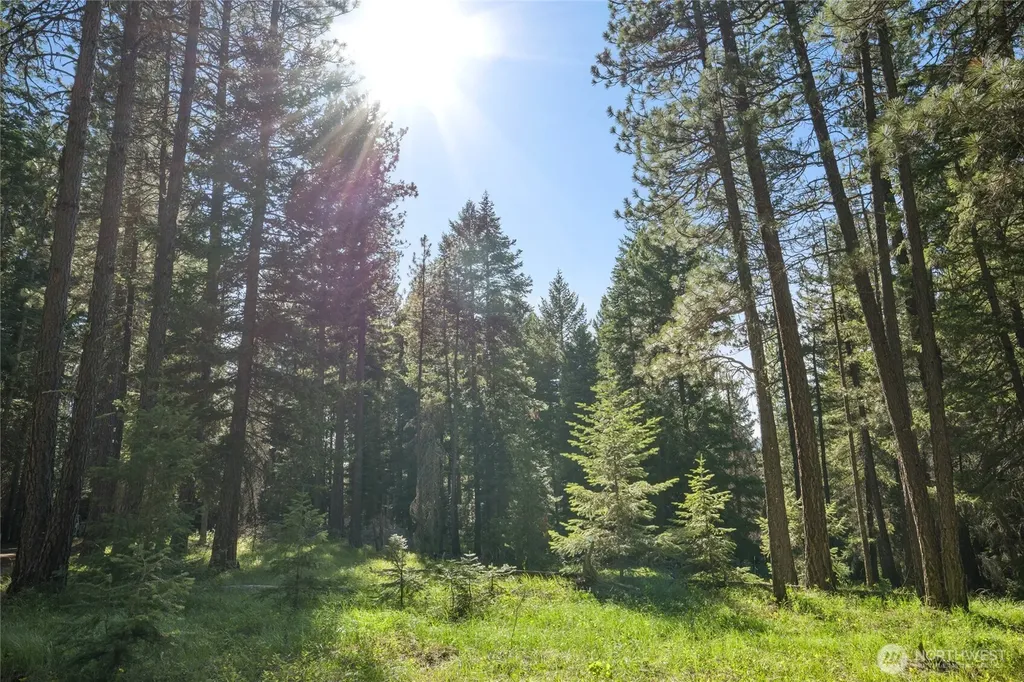 432 Hub Lane Cle Elum WA 98922