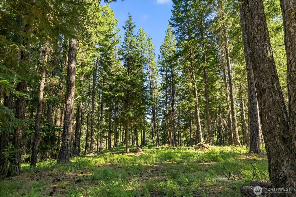 432 Hub Lane Cle Elum WA 98922