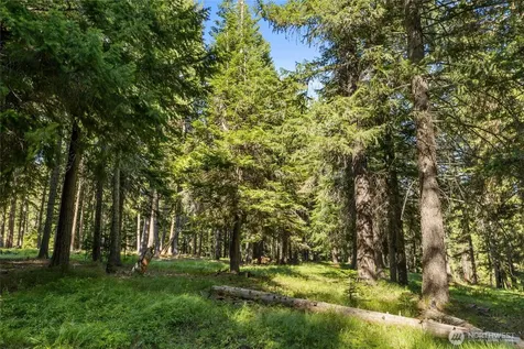 432 Hub Lane Cle Elum WA 98922