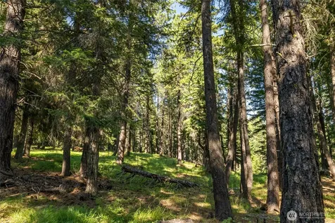 432 Hub Lane Cle Elum WA 98922