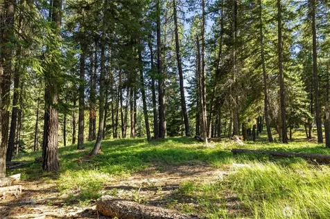 432 Hub Lane Cle Elum WA 98922
