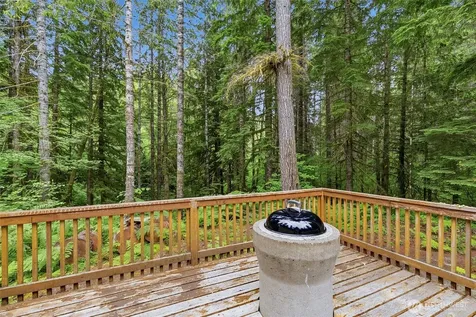 191 Northwoods Cabin Cougar WA 98616