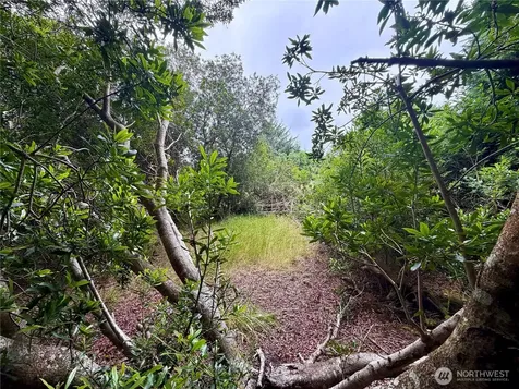772 Island Circle SE Ocean Shores WA 98569