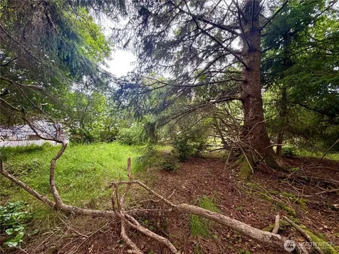 772 Island Circle SE Ocean Shores WA 98569