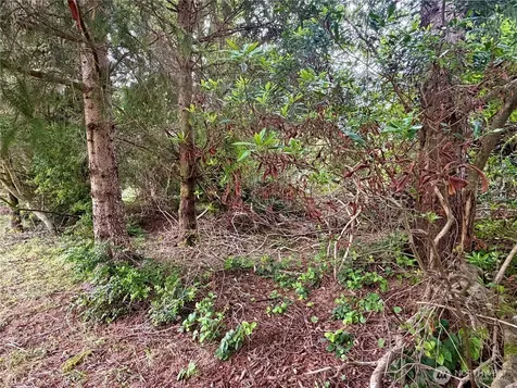 772 Island Circle SE Ocean Shores WA 98569