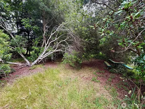 772 Island Circle SE Ocean Shores WA 98569