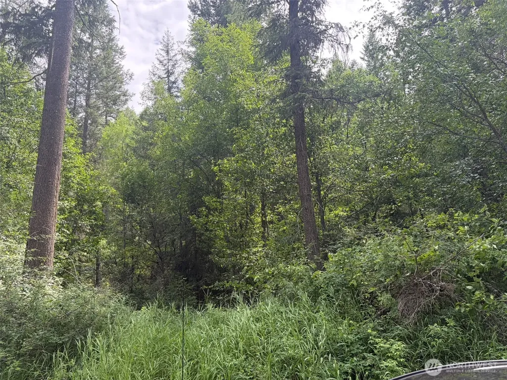 111 Lambert Creek Road Republic WA 99166
