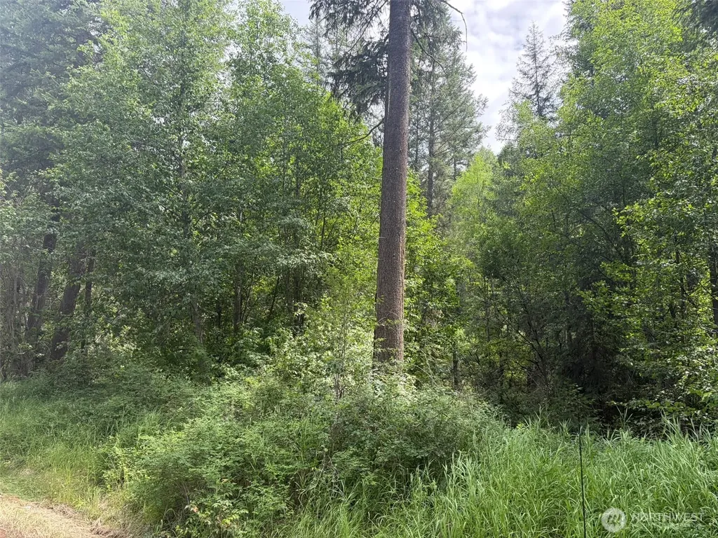 111 Lambert Creek Road Republic WA 99166