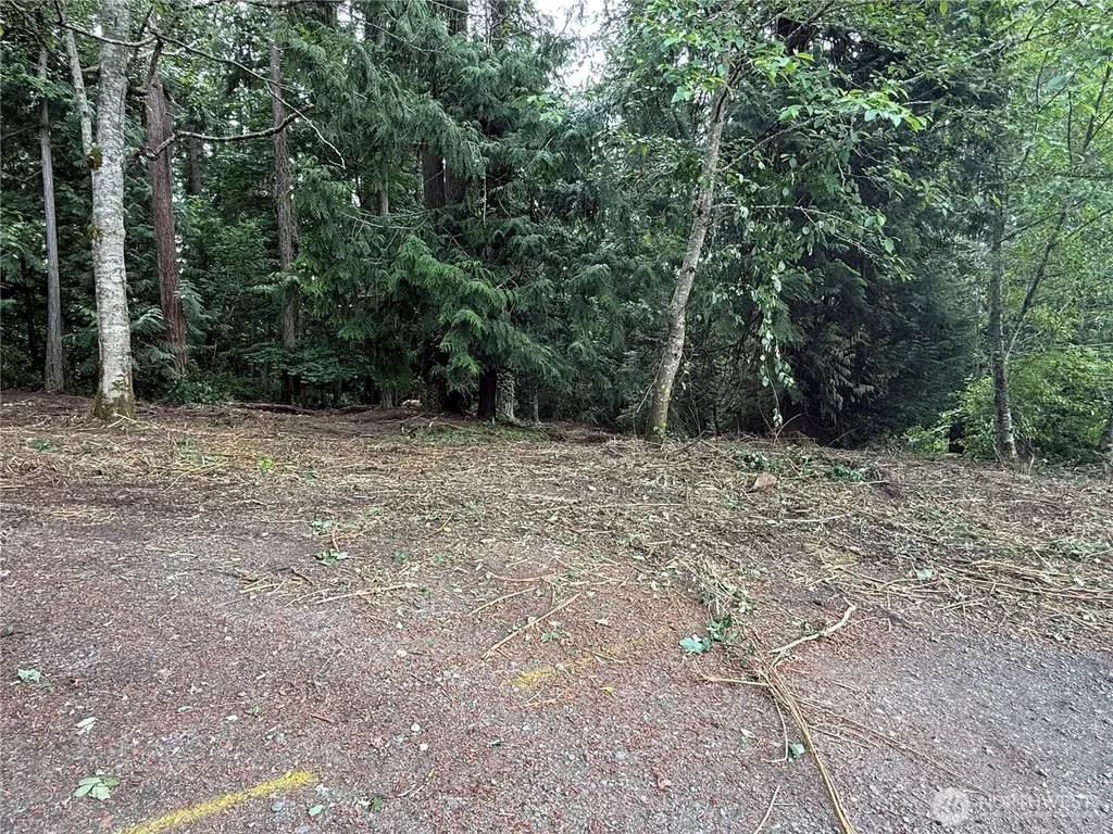 1234 NE 11th Avenue Poulsbo WA 98370