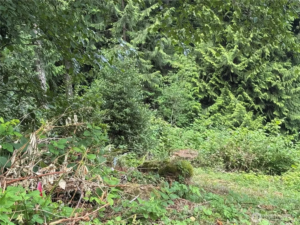 1234 NE 11th Avenue Poulsbo WA 98370