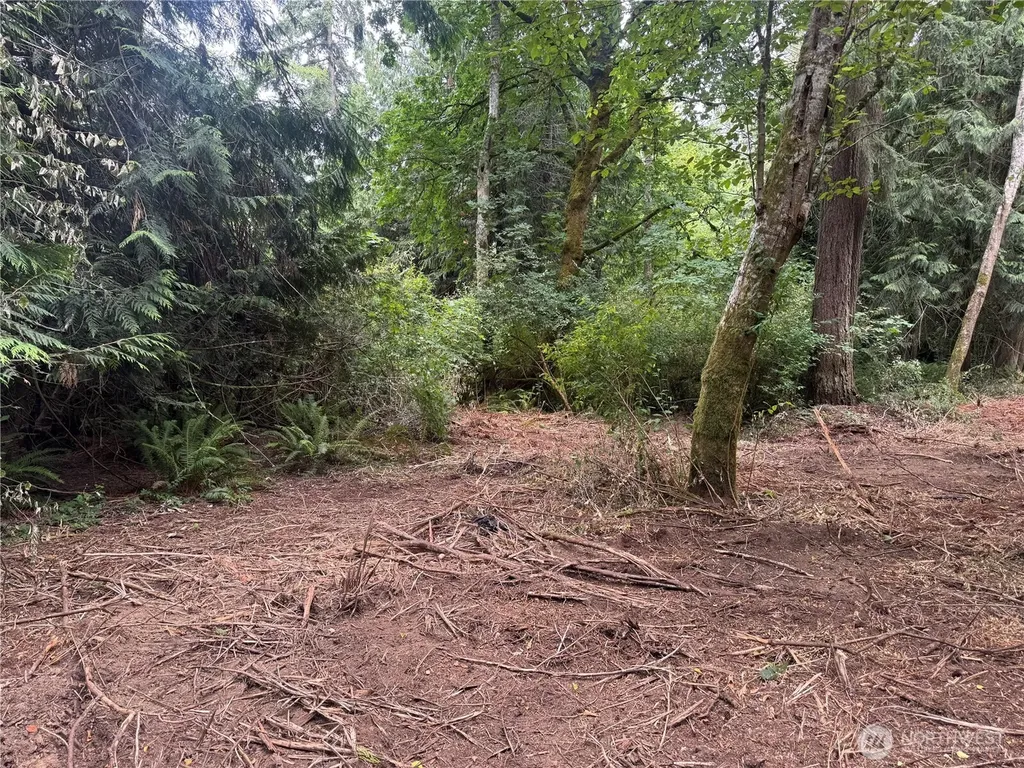 1234 NE 11th Avenue Poulsbo WA 98370
