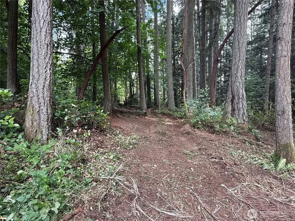 1234 NE 11th Avenue Poulsbo WA 98370