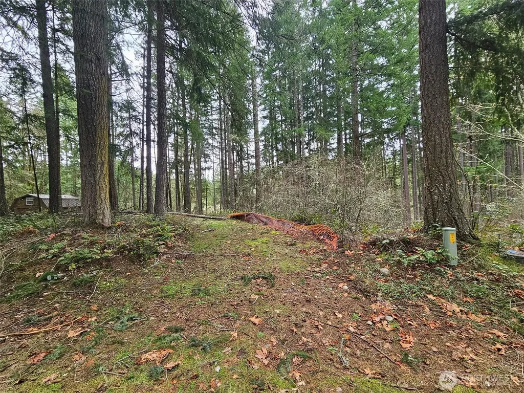 18214 Big Fir Court SE Yelm WA 98597