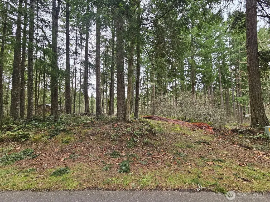 18214 Big Fir Court SE Yelm WA 98597