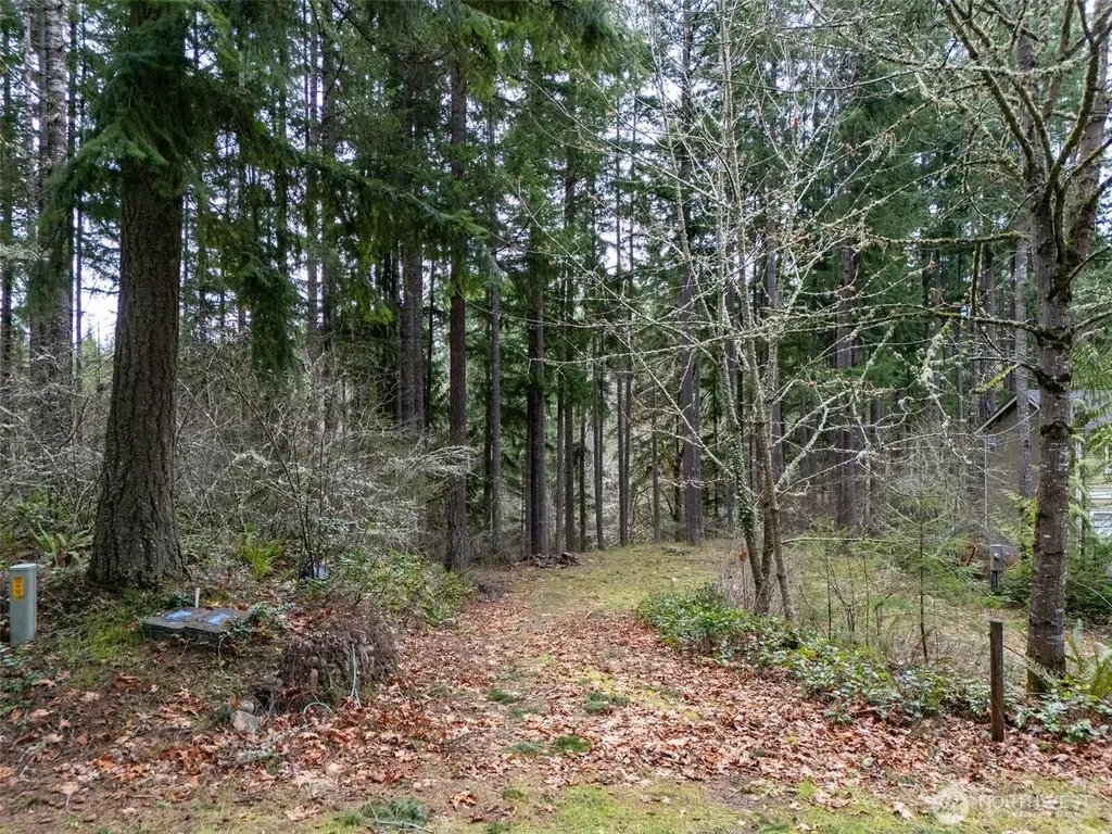 18214 Big Fir Court SE Yelm WA 98597