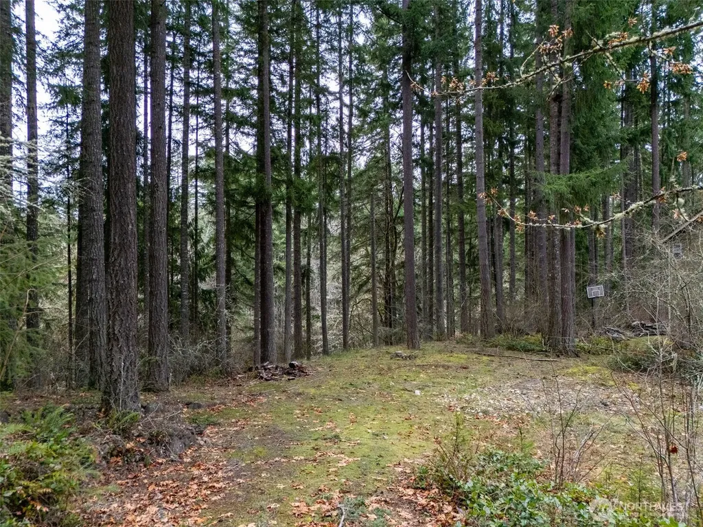 18214 Big Fir Court SE Yelm WA 98597