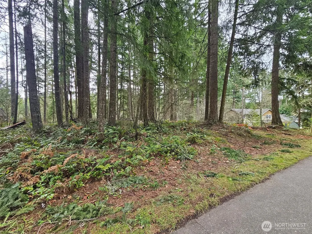 18214 Big Fir Court SE Yelm WA 98597