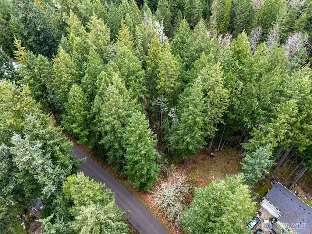 18214 Big Fir Court SE Yelm WA 98597