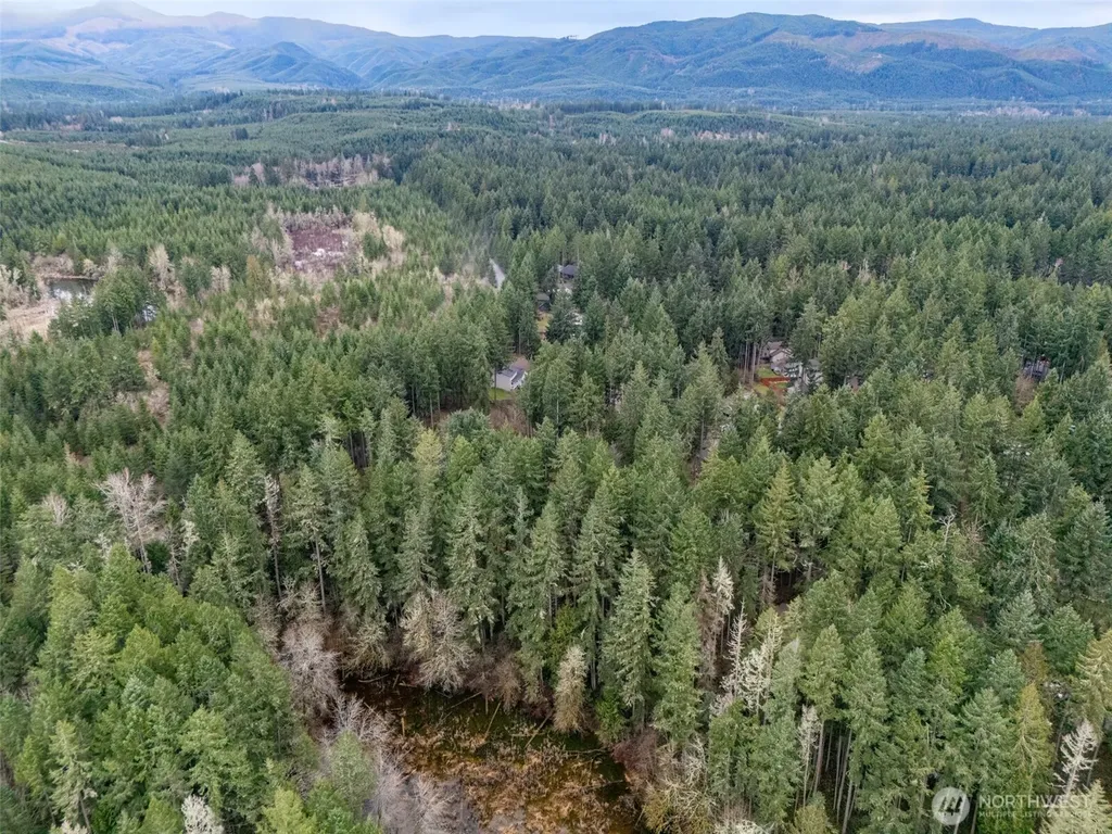 18214 Big Fir Court SE Yelm WA 98597