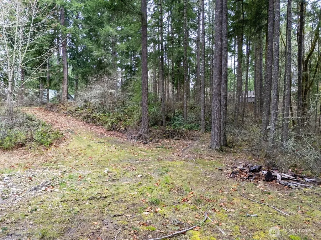 18214 Big Fir Court SE Yelm WA 98597