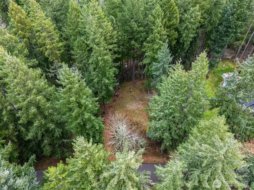 18214 Big Fir Court SE Yelm WA 98597