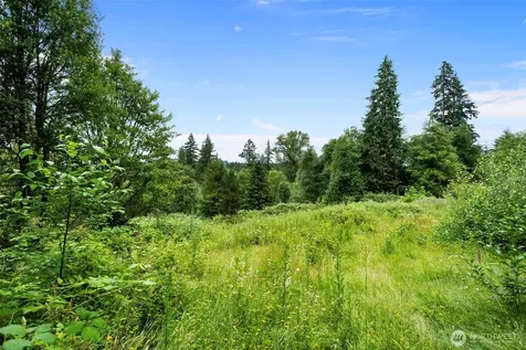 13500 NE 406th Street Amboy WA 98601
