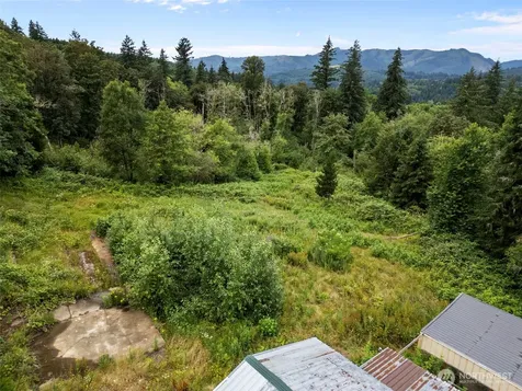 13500 NE 406th Street Amboy WA 98601
