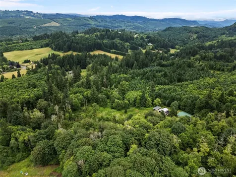 13500 NE 406th Street Amboy WA 98601