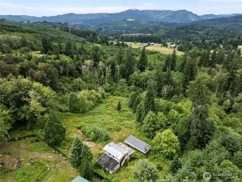 13500 NE 406th Street Amboy WA 98601