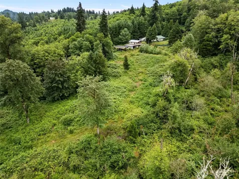 13500 NE 406th Street Amboy WA 98601