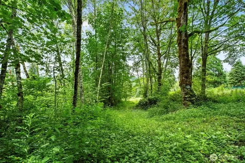 13500 NE 406th Street Amboy WA 98601