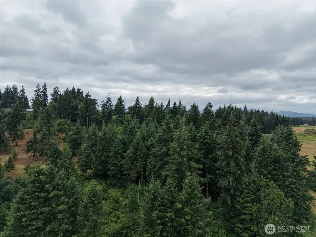 12345 Case Road SW Olympia WA 98512